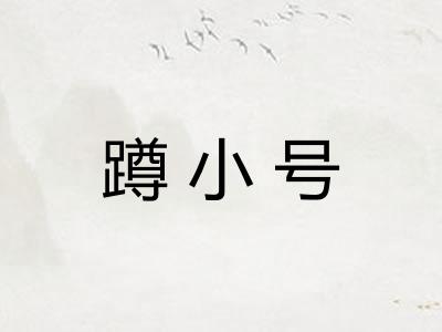 蹲小号