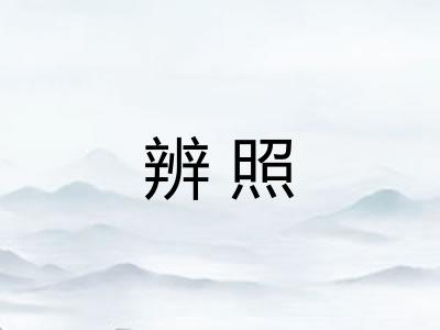 辨照