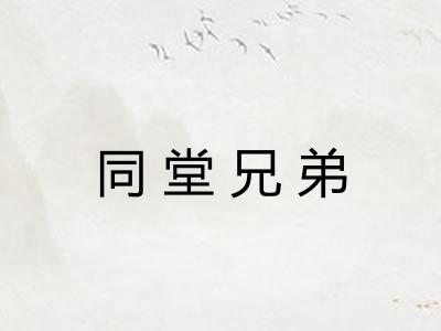 同堂兄弟