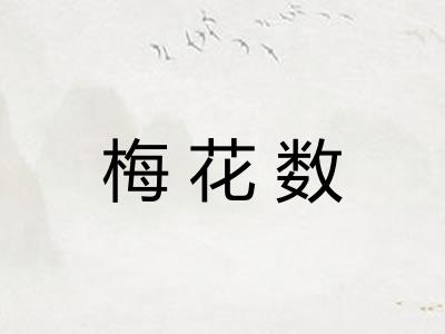 梅花数