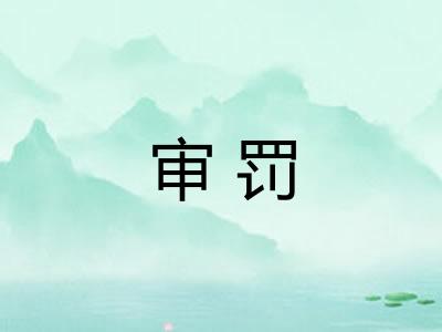 审罚