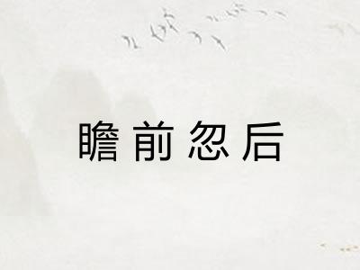 瞻前忽后