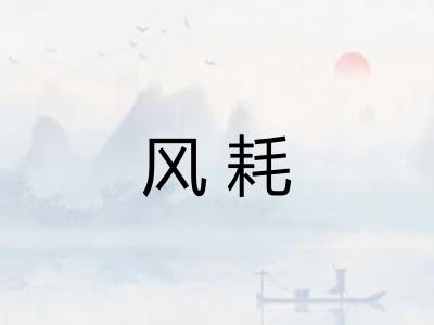 风耗
