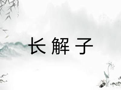 长解子