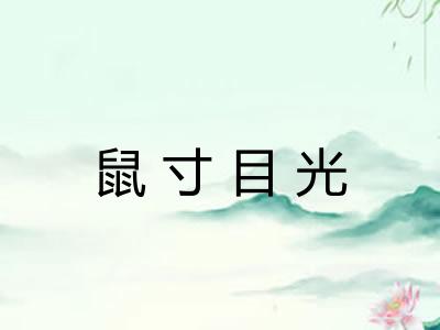 鼠寸目光