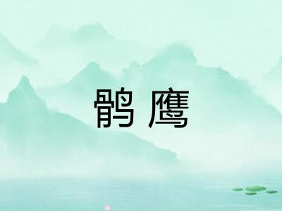鹘鹰