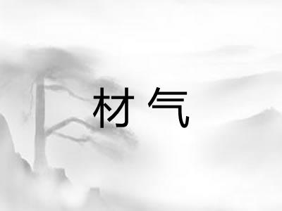 材气