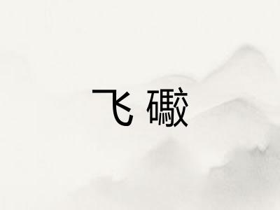 飞礮