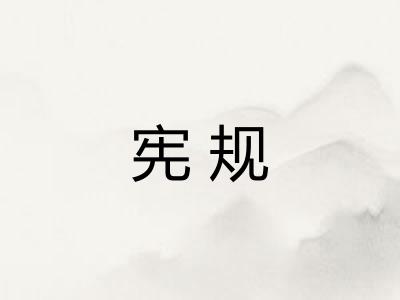 宪规