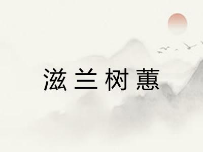滋兰树蕙