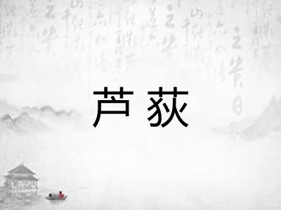 芦荻