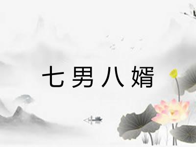 七男八婿