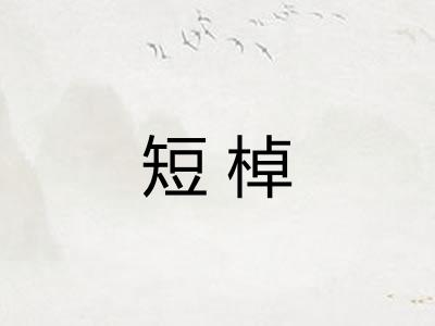 短棹