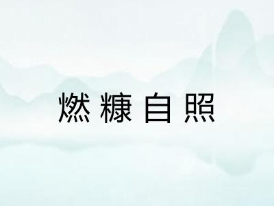 燃糠自照
