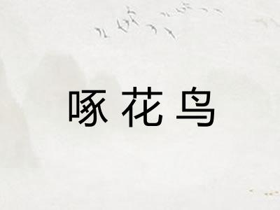 啄花鸟