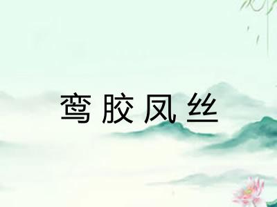 鸾胶凤丝
