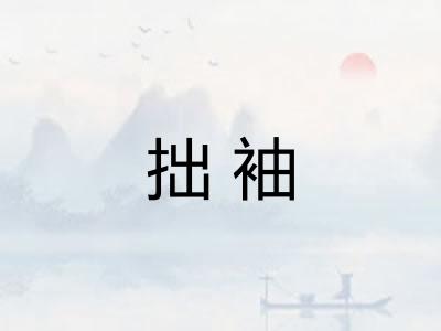 拙袖