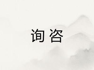 询咨