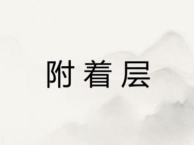 附着层