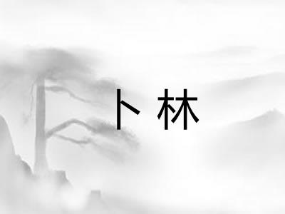 卜林