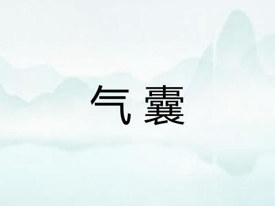 气囊