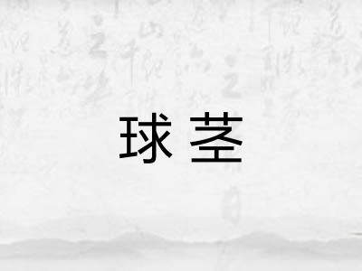 球茎