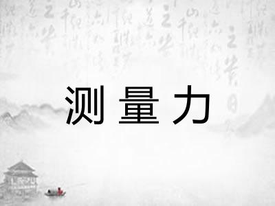 测量力