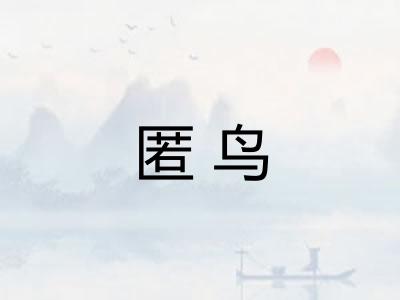 匿鸟