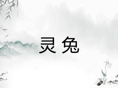灵兔