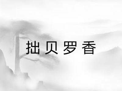 拙贝罗香