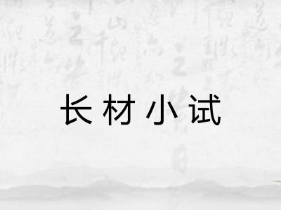 长材小试