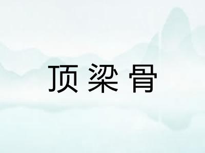 顶梁骨