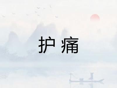 护痛