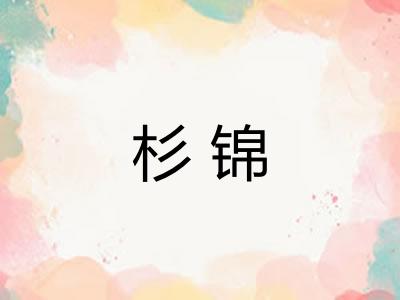 杉锦