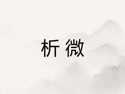 析微