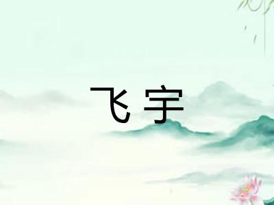 飞宇