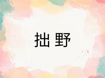 拙野