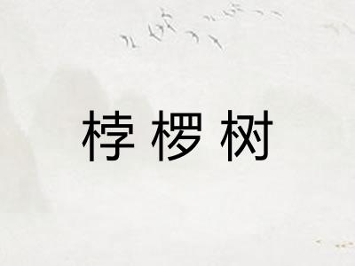 桲椤树