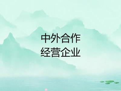 中外合作经营企业