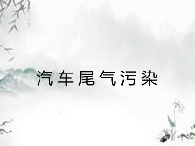 汽车尾气污染