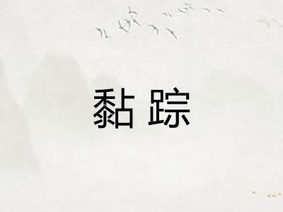 黏踪