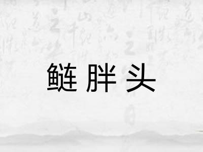 鲢胖头
