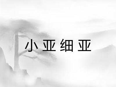 小亚细亚