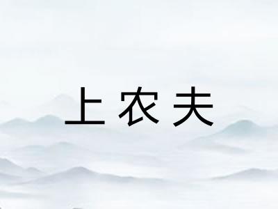 上农夫