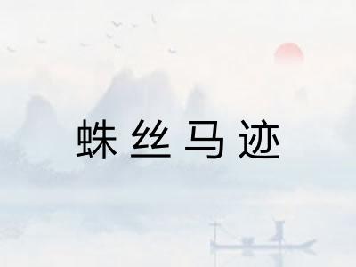 蛛丝马迹