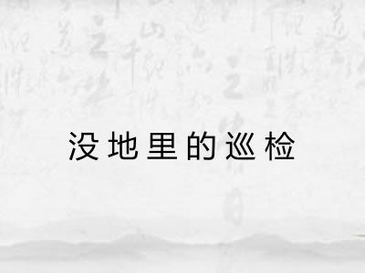 没地里的巡检