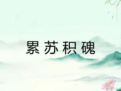 累苏积磈