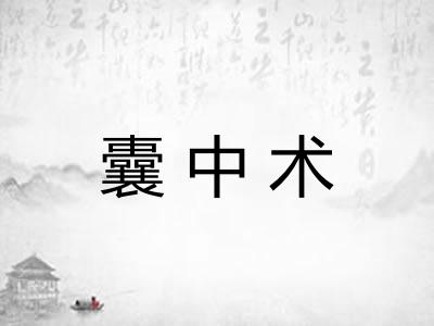 囊中术