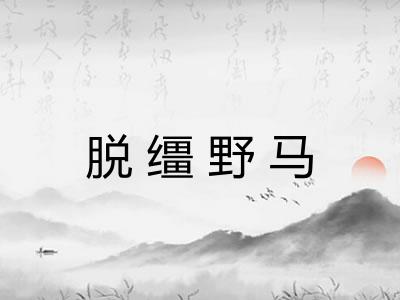 脱缰野马