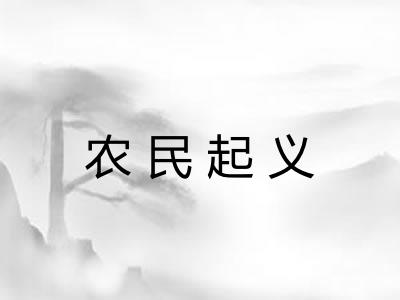 农民起义